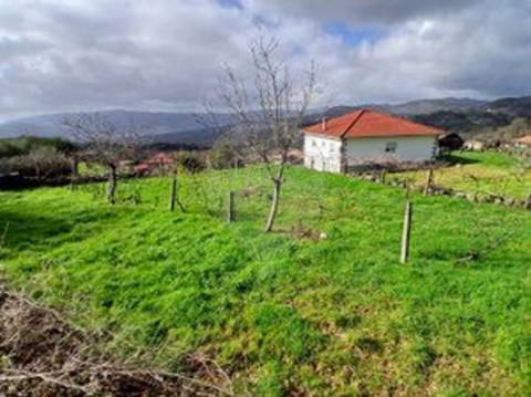Terreno  para venda