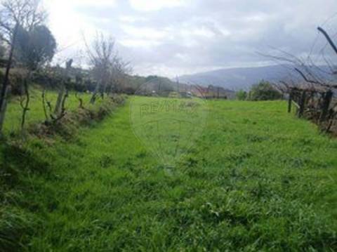 Terreno  para venda