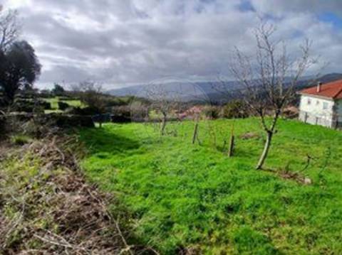 Terreno  para venda
