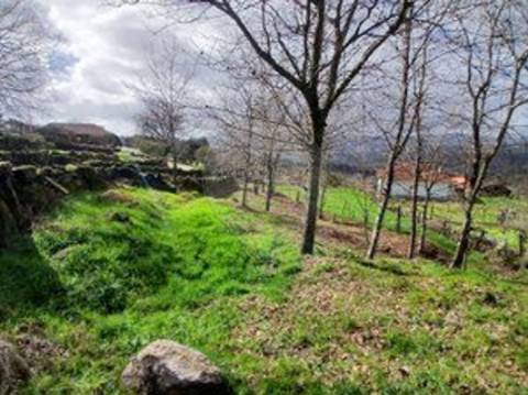 Terreno  para venda