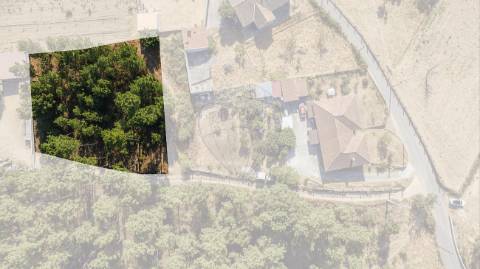 Terreno  para venda