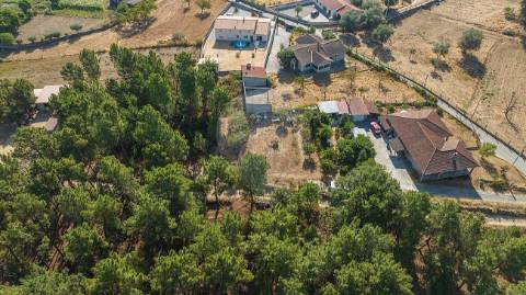 Terreno  para venda
