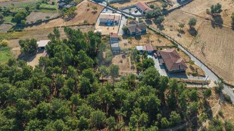 Terreno  para venda