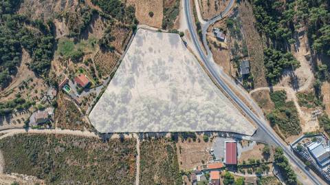 Terreno  para venda