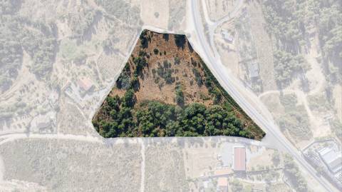 Terreno  para venda