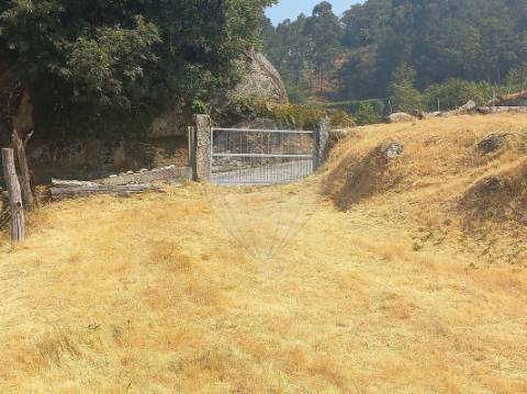Terreno  para venda