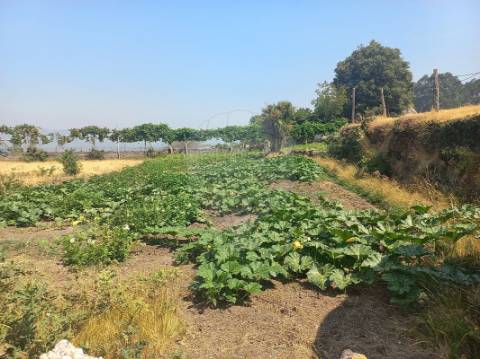 Terreno  para venda