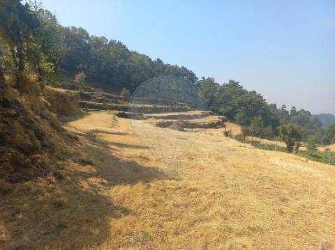 Terreno  para venda