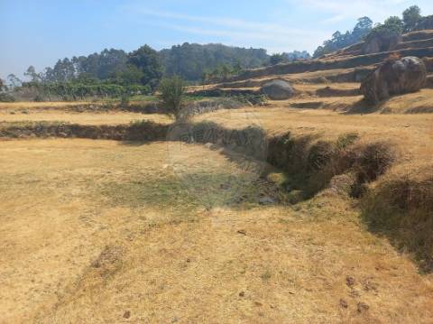 Terreno  para venda