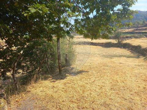 Terreno  para venda