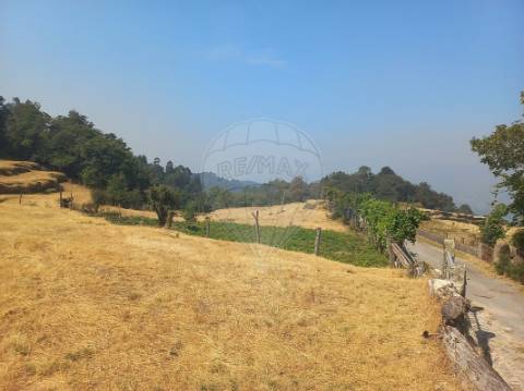 Terreno  para venda