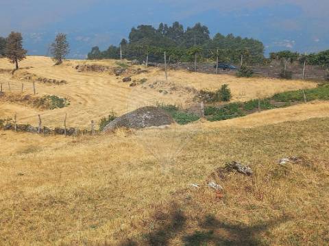 Terreno  para venda