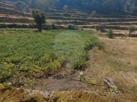Terreno  para venda