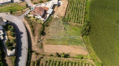 Terreno  para venda