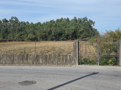 Terreno  para venda