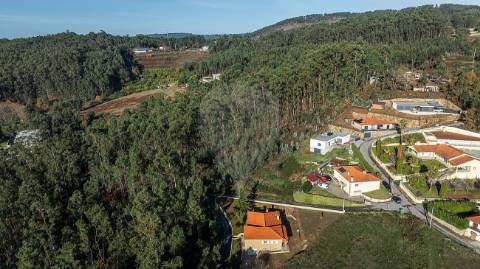 Terreno  para venda