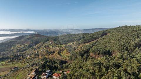 Terreno  para venda