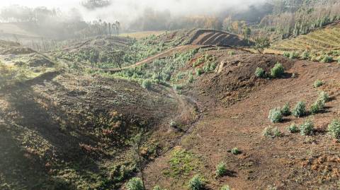 Terreno  para venda