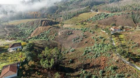 Terreno  para venda