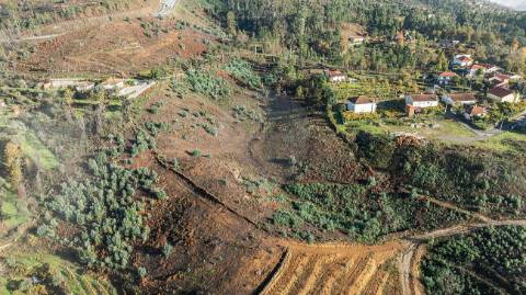 Terreno  para venda