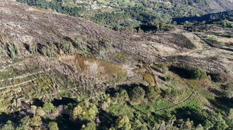 Terreno  para venda