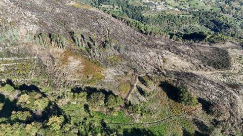 Terreno  para venda