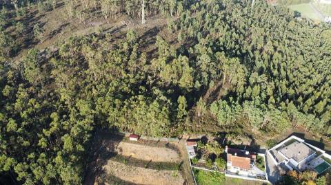 Terreno  para venda