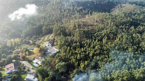 Terreno  para venda