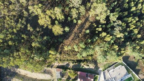 Terreno  para venda