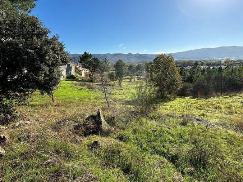 Terreno  para venda