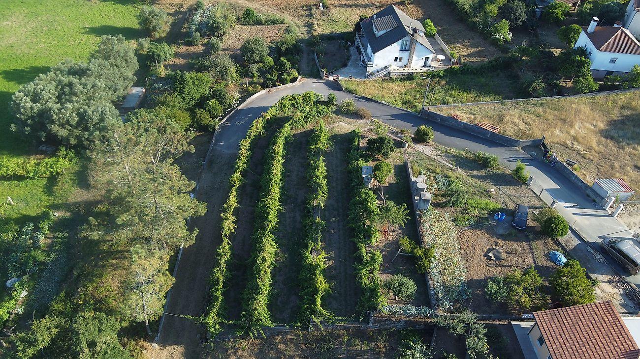 Terreno  para venda