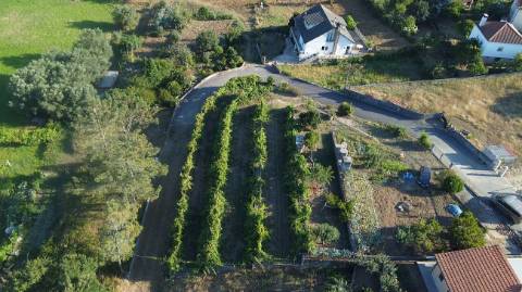 Terreno  para venda
