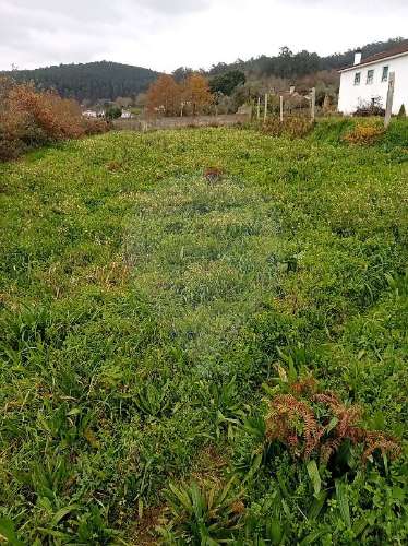 Terreno  para venda