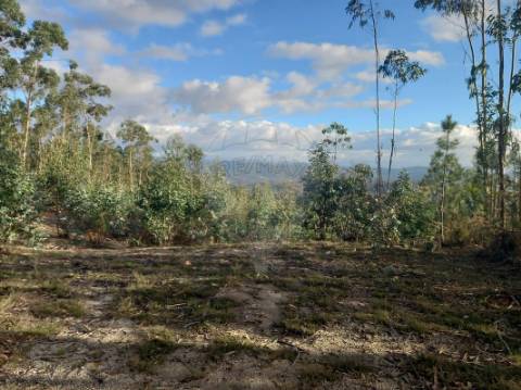 Terreno  para venda
