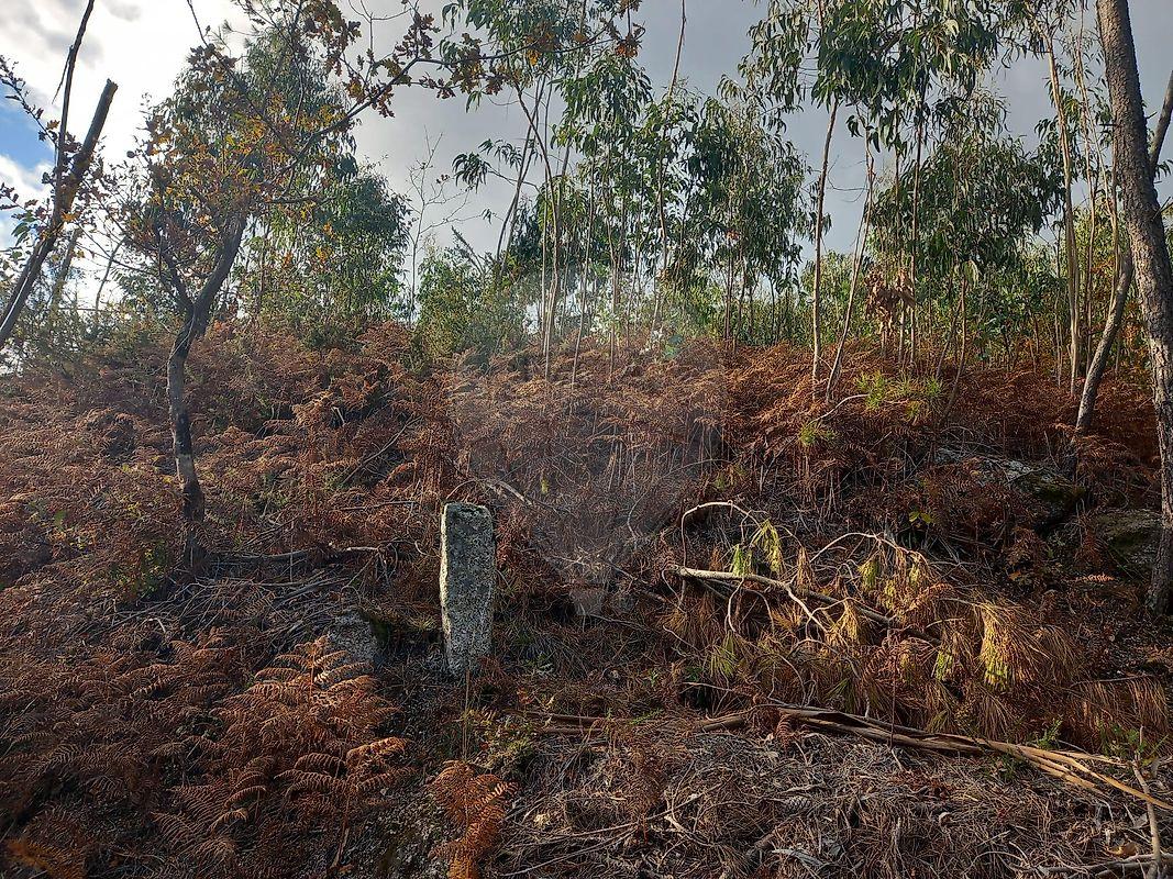 Terreno  para venda