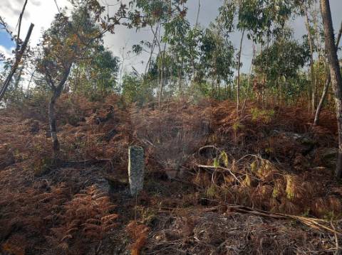 Terreno  para venda