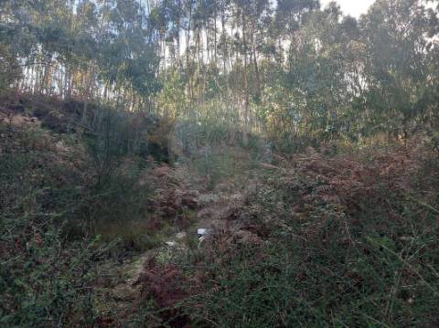 Terreno  para venda