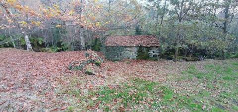 Terreno  para venda