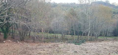 Terreno  para venda