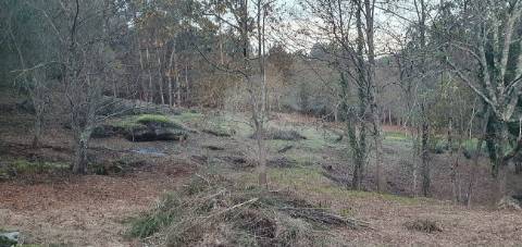 Terreno  para venda
