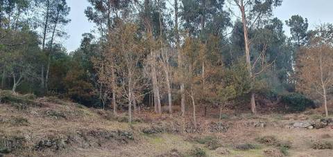 Terreno  para venda