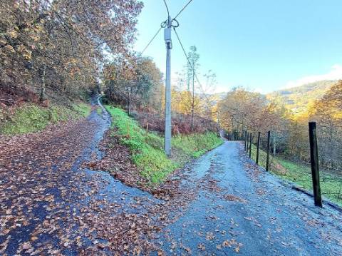 Terreno  para venda