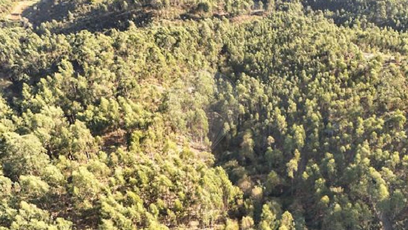 Terreno  para venda