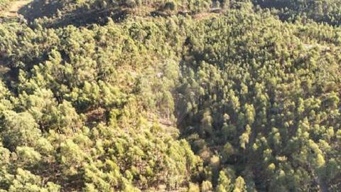 Terreno  para venda
