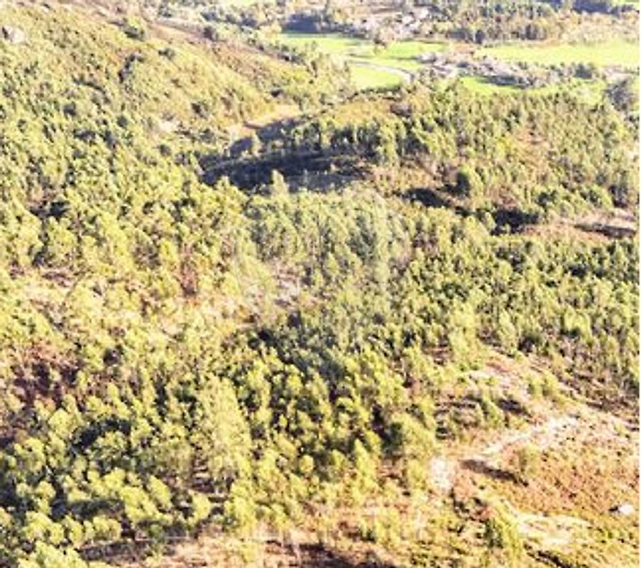 Terreno  para venda
