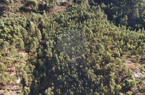 Terreno  para venda