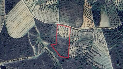 Terreno  para venda