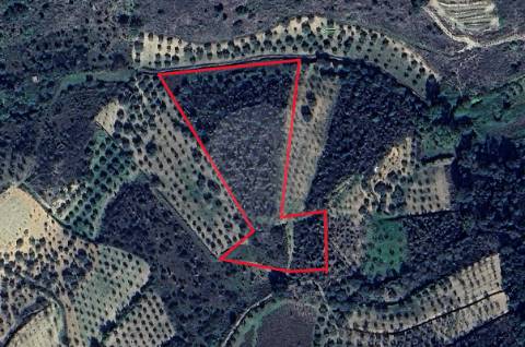 Terreno  para venda