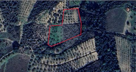 Terreno  para venda