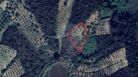 Terreno  para venda